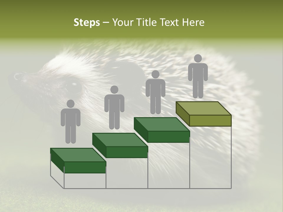 Shot Wildlife Protection PowerPoint Template