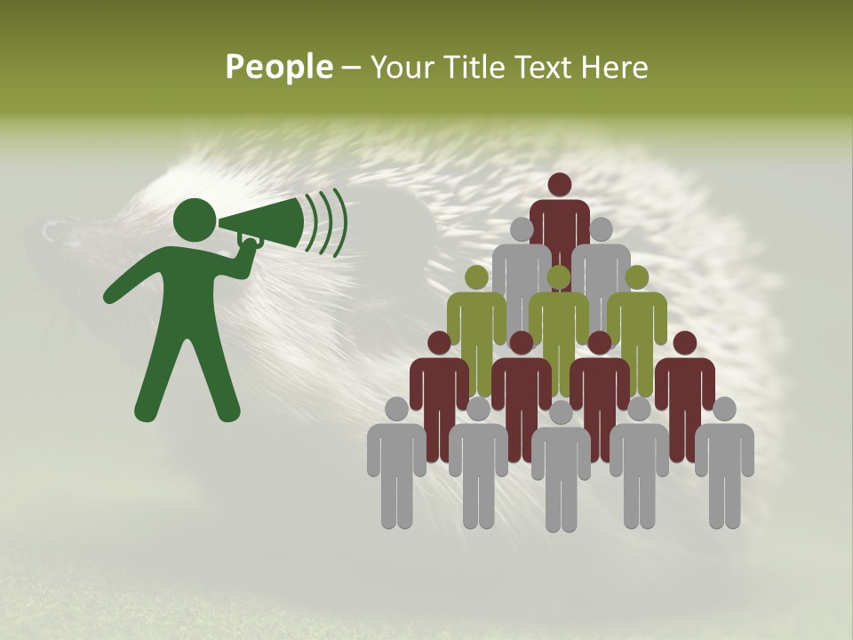 Shot Wildlife Protection PowerPoint Template