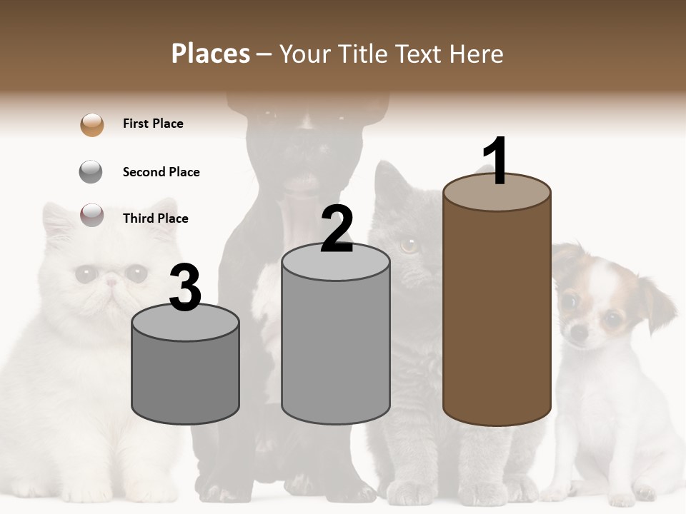Group Of Dogs And Cats PowerPoint Template