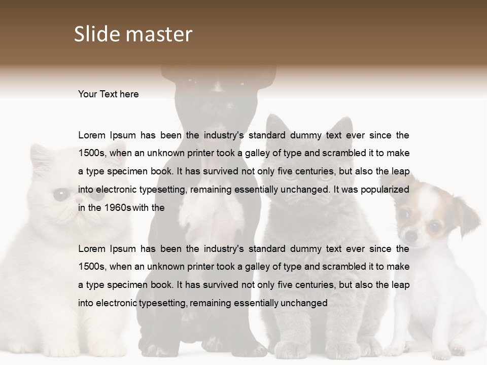 Group Of Dogs And Cats PowerPoint Template