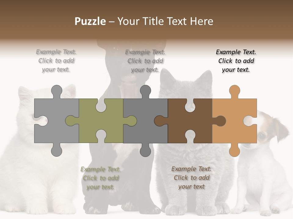 Group Of Dogs And Cats PowerPoint Template