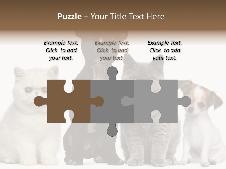 Group Of Dogs And Cats PowerPoint Template
