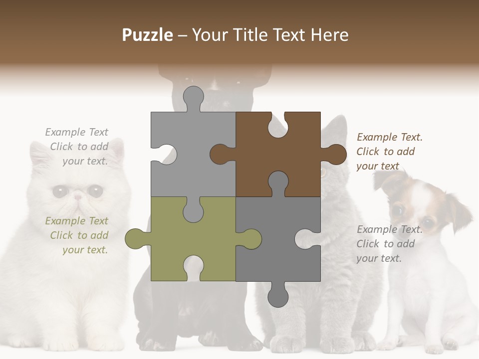 Group Of Dogs And Cats PowerPoint Template