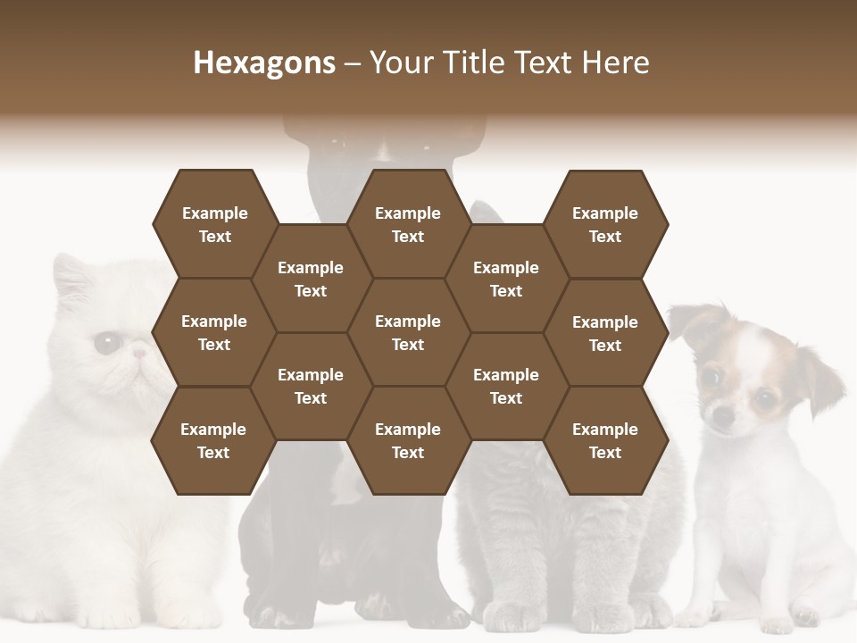 Group Of Dogs And Cats PowerPoint Template
