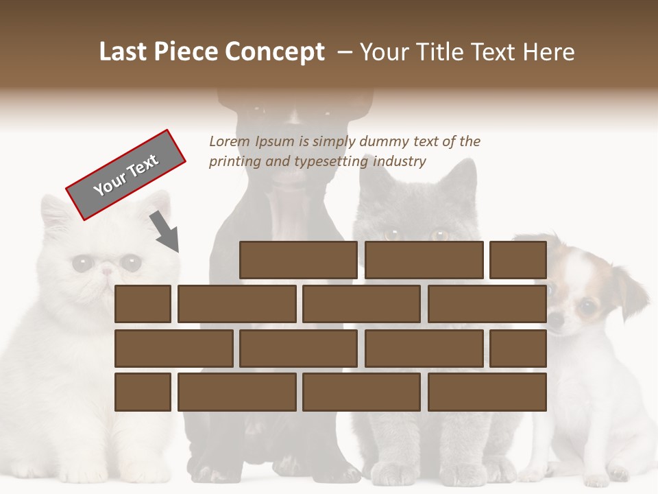 Group Of Dogs And Cats PowerPoint Template