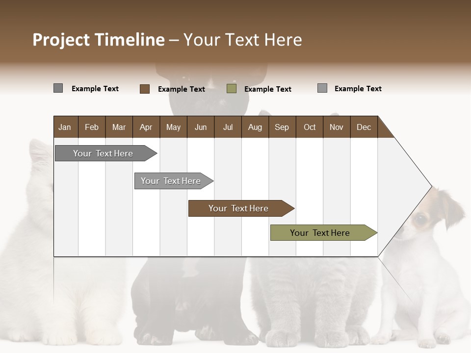 Group Of Dogs And Cats PowerPoint Template