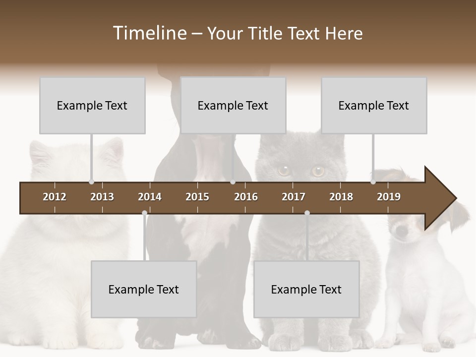 Group Of Dogs And Cats PowerPoint Template