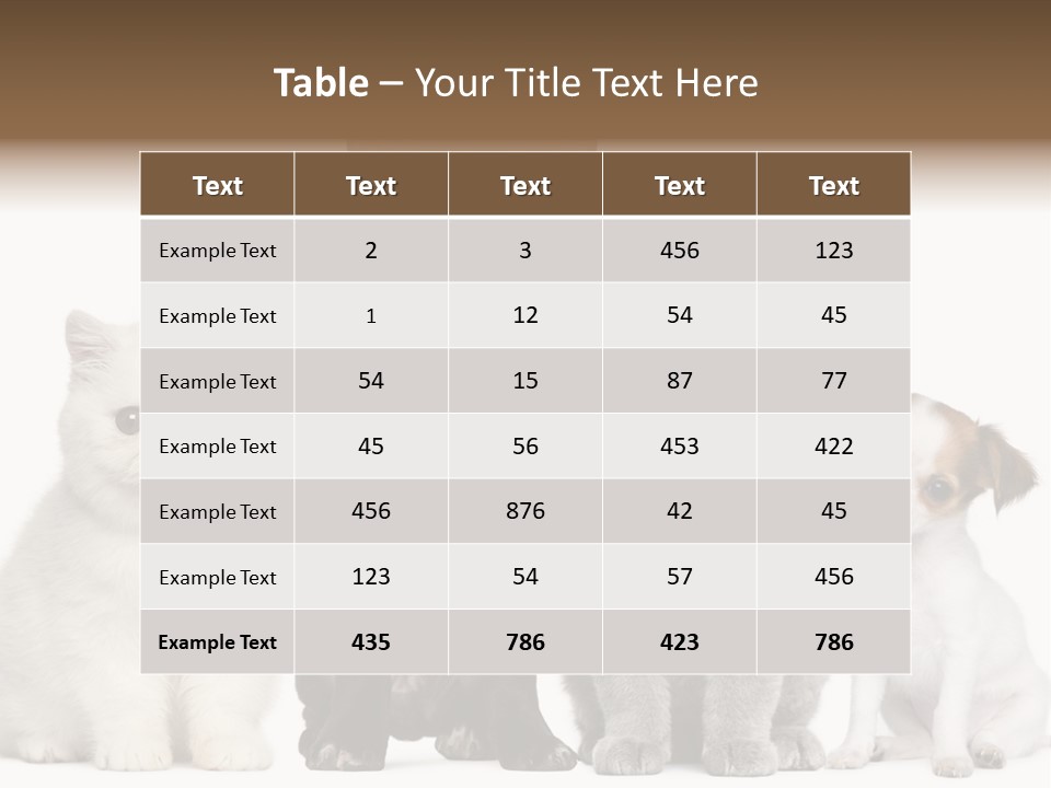 Group Of Dogs And Cats PowerPoint Template