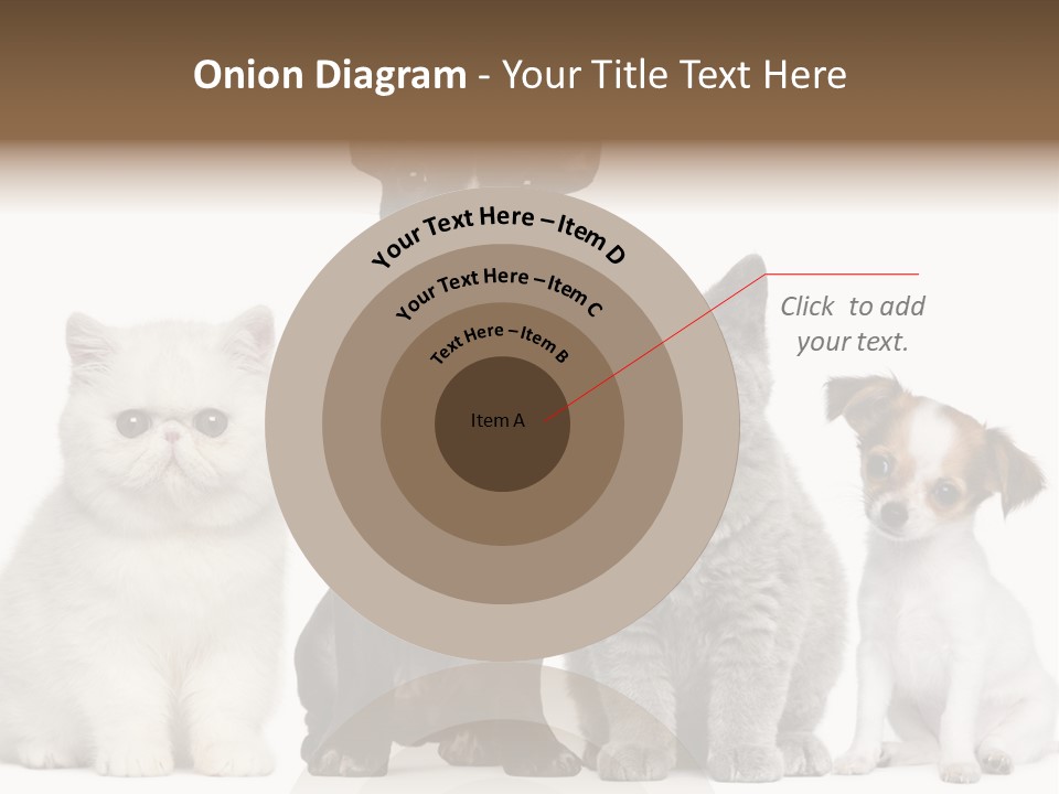 Group Of Dogs And Cats PowerPoint Template