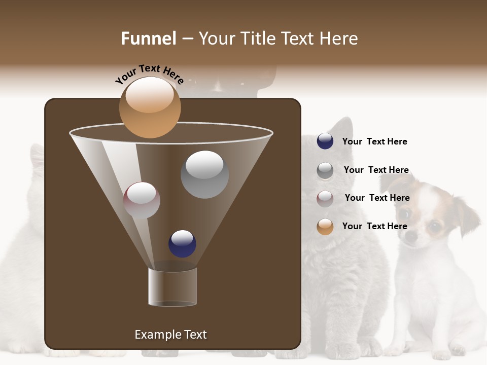 Group Of Dogs And Cats PowerPoint Template