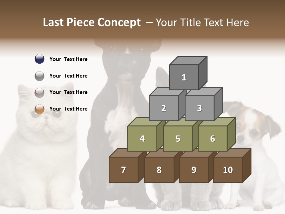 Group Of Dogs And Cats PowerPoint Template
