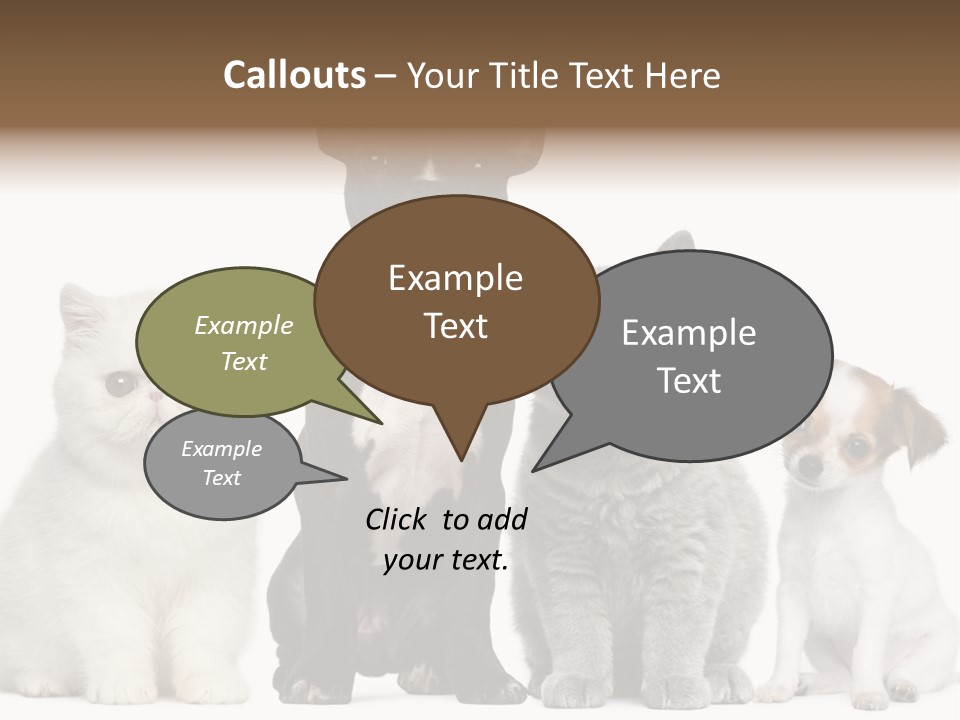 Group Of Dogs And Cats PowerPoint Template