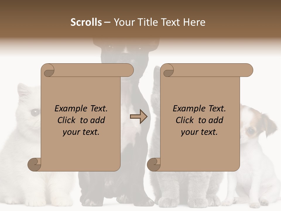 Group Of Dogs And Cats PowerPoint Template