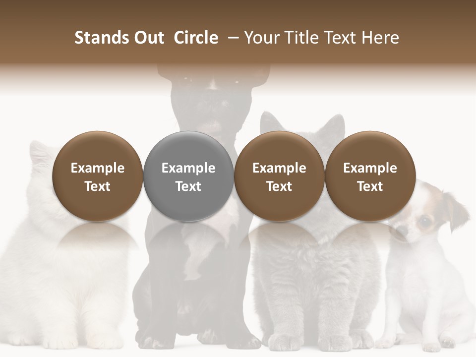 Group Of Dogs And Cats PowerPoint Template
