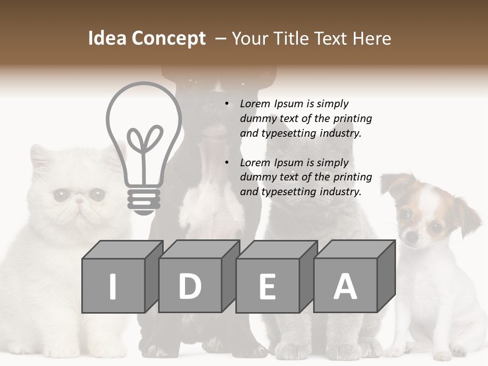 Group Of Dogs And Cats PowerPoint Template