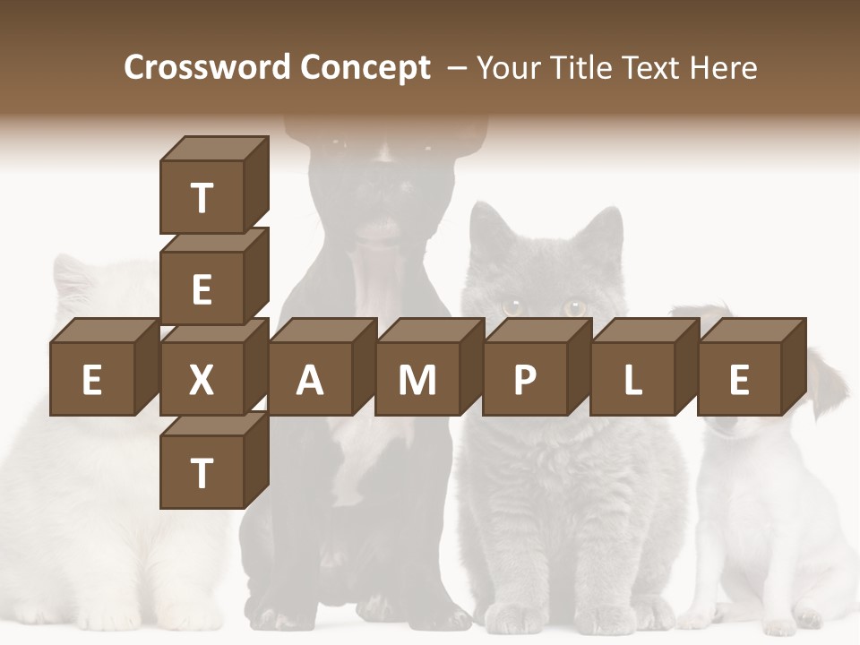 Group Of Dogs And Cats PowerPoint Template