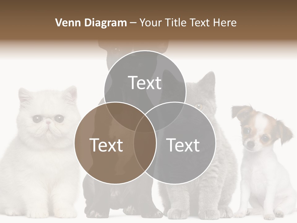 Group Of Dogs And Cats PowerPoint Template