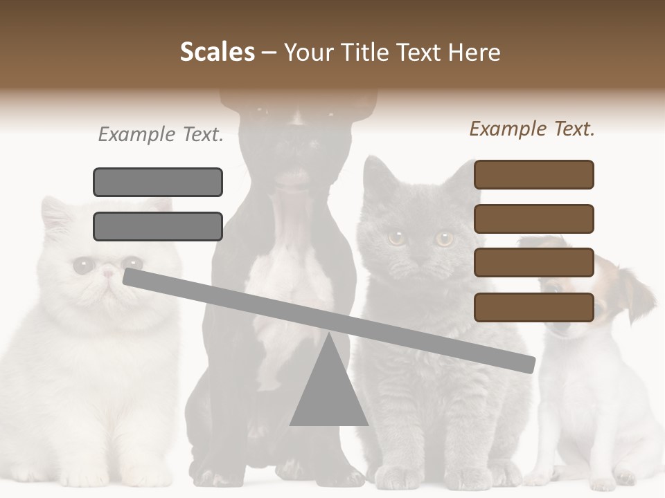 Group Of Dogs And Cats PowerPoint Template