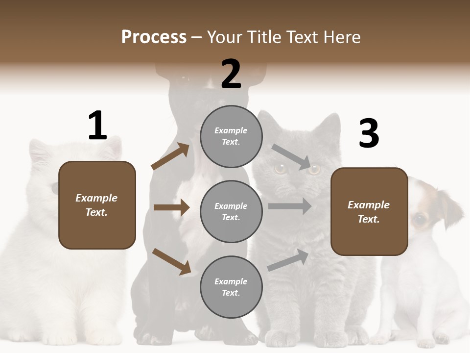 Group Of Dogs And Cats PowerPoint Template