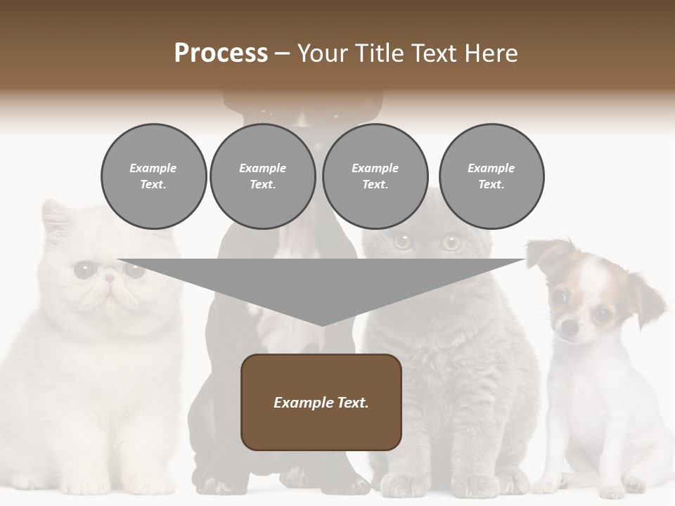 Group Of Dogs And Cats PowerPoint Template