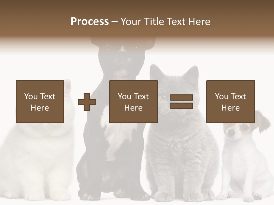 Group Of Dogs And Cats PowerPoint Template