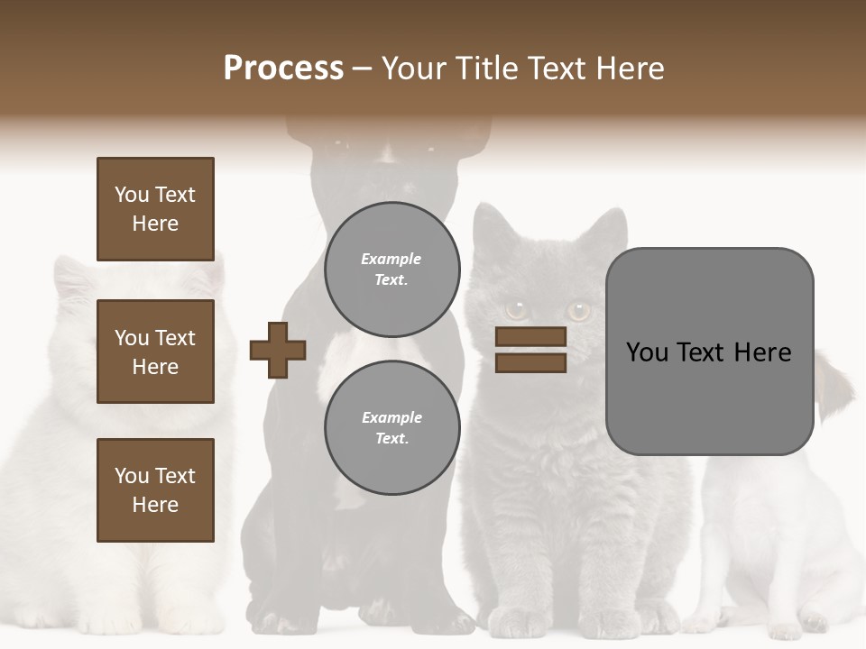 Group Of Dogs And Cats PowerPoint Template