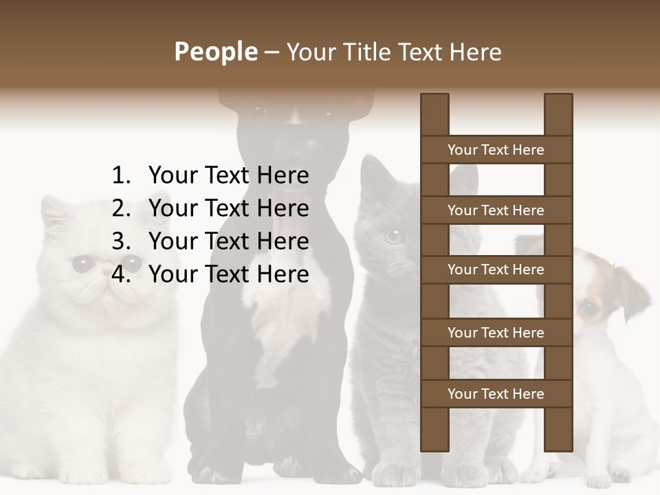 Group Of Dogs And Cats PowerPoint Template