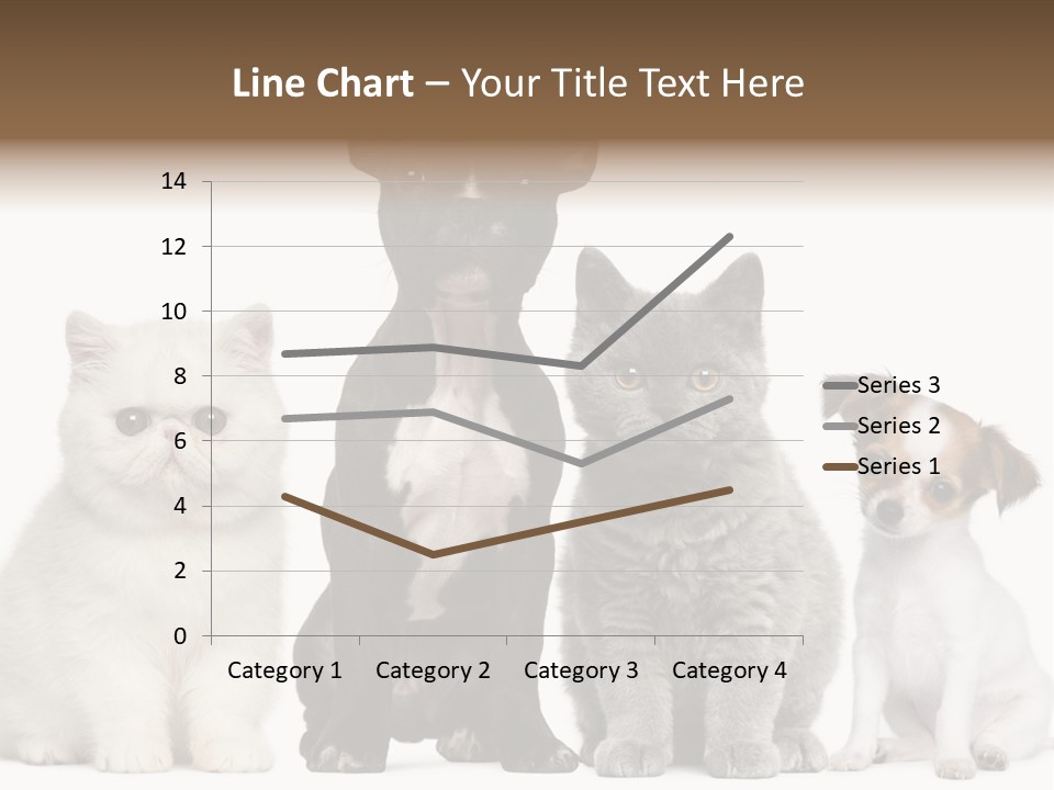 Group Of Dogs And Cats PowerPoint Template