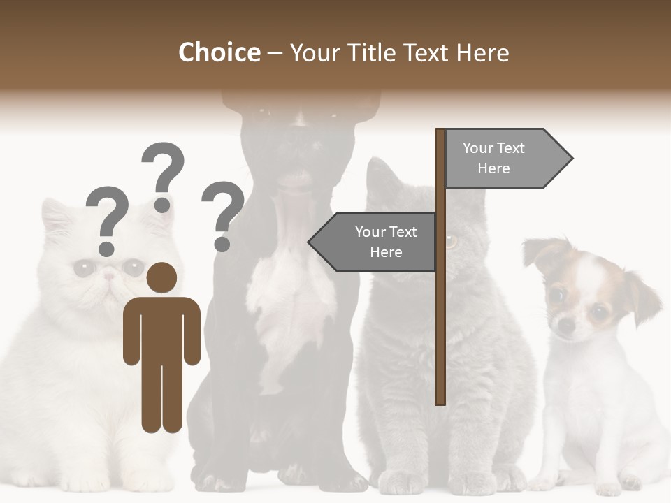 Group Of Dogs And Cats PowerPoint Template