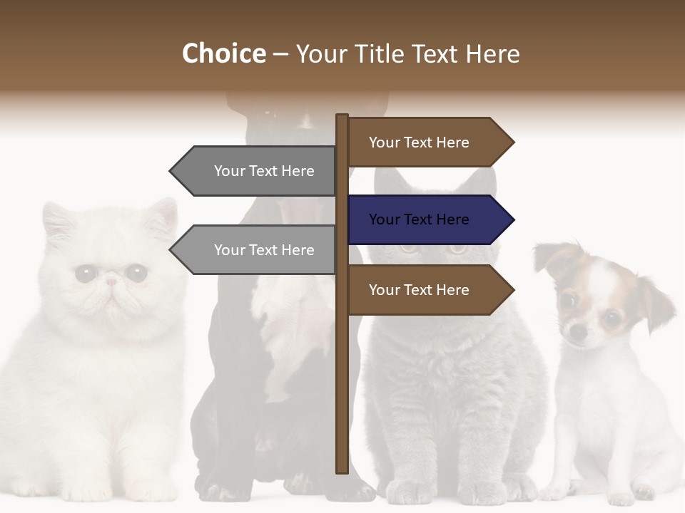 Group Of Dogs And Cats PowerPoint Template
