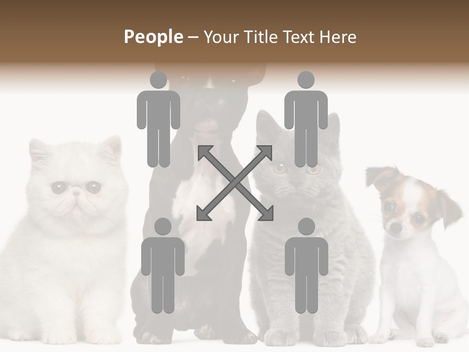 Group Of Dogs And Cats PowerPoint Template