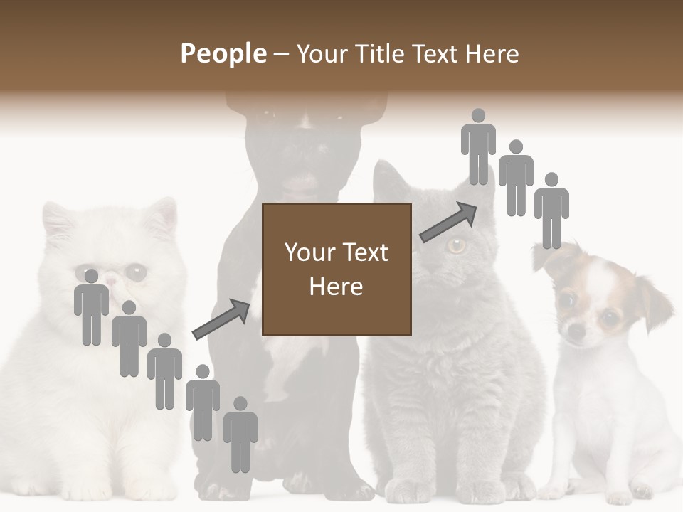 Group Of Dogs And Cats PowerPoint Template