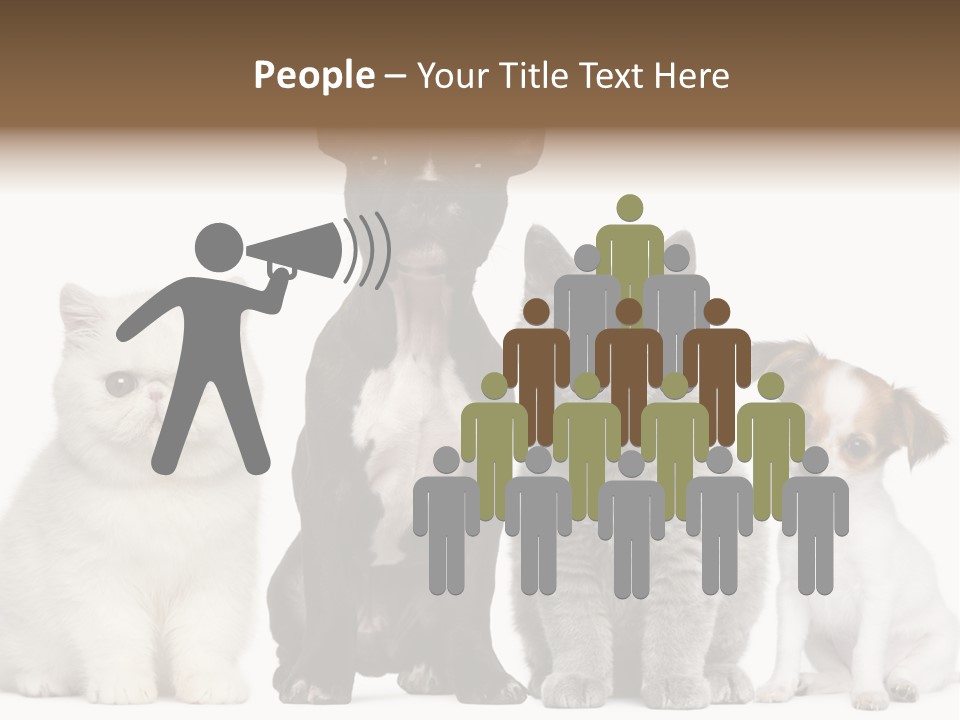 Group Of Dogs And Cats PowerPoint Template