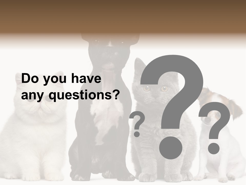 Group Of Dogs And Cats PowerPoint Template