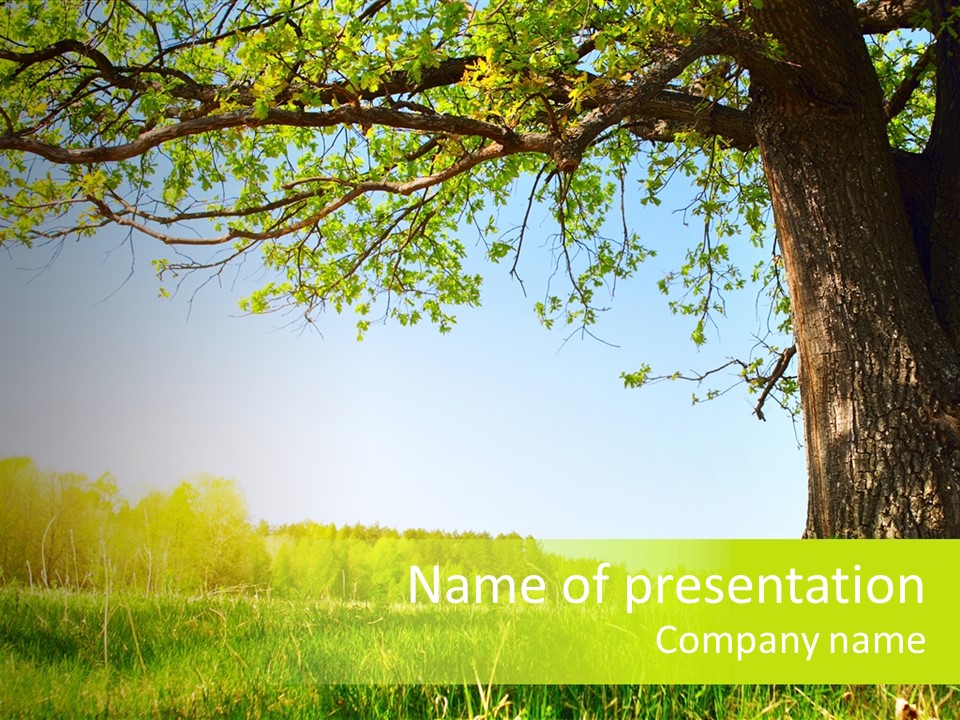 Tree Tall Leaf PowerPoint Template