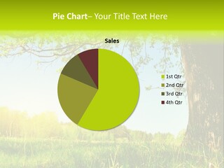 Tree Tall Leaf PowerPoint Template