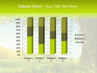 Tree Tall Leaf PowerPoint Template