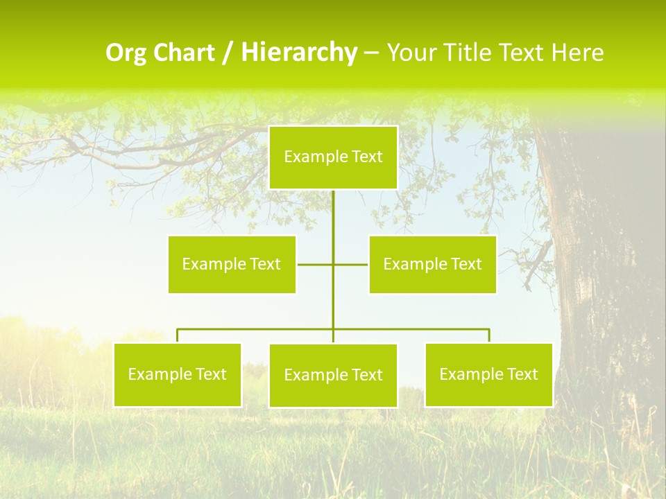 Tree Tall Leaf PowerPoint Template