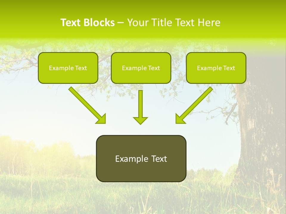 Tree Tall Leaf PowerPoint Template