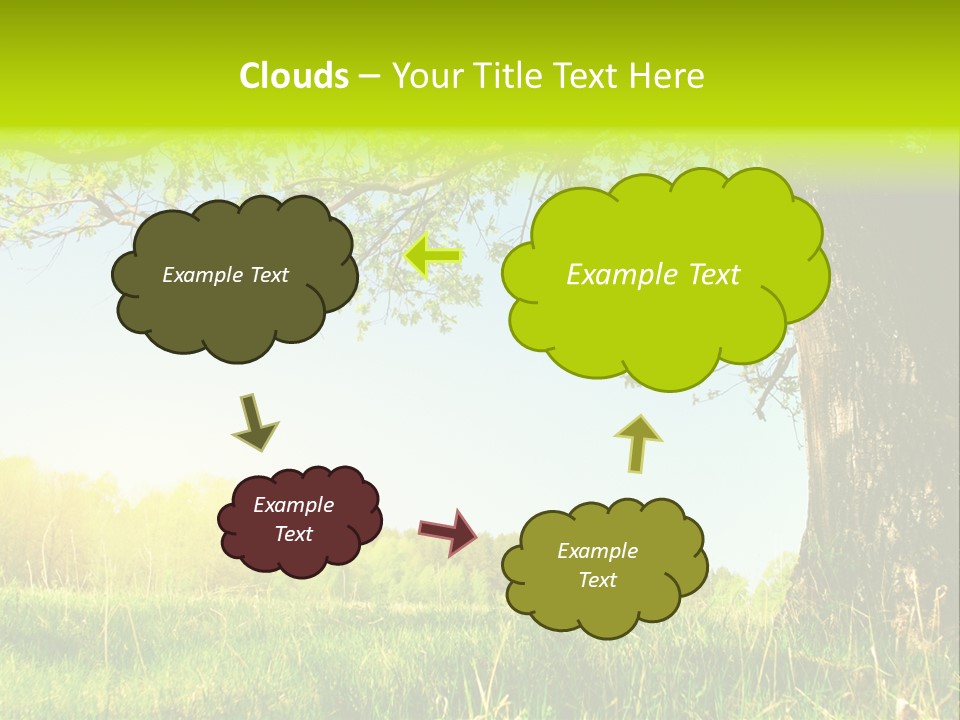 Tree Tall Leaf PowerPoint Template