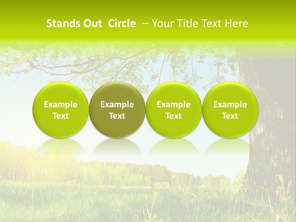 Tree Tall Leaf PowerPoint Template