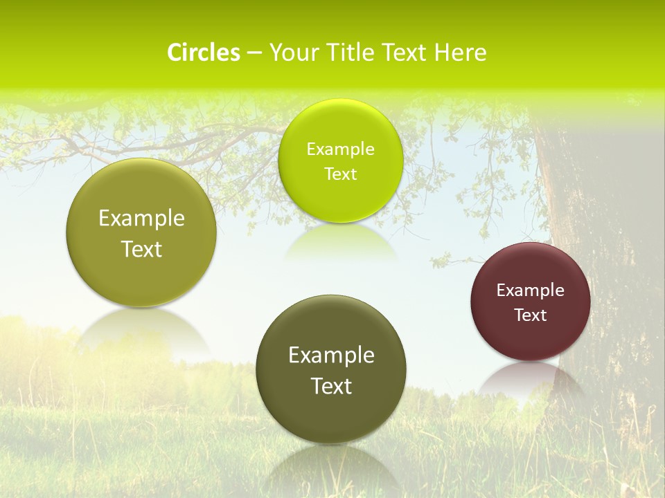 Tree Tall Leaf PowerPoint Template