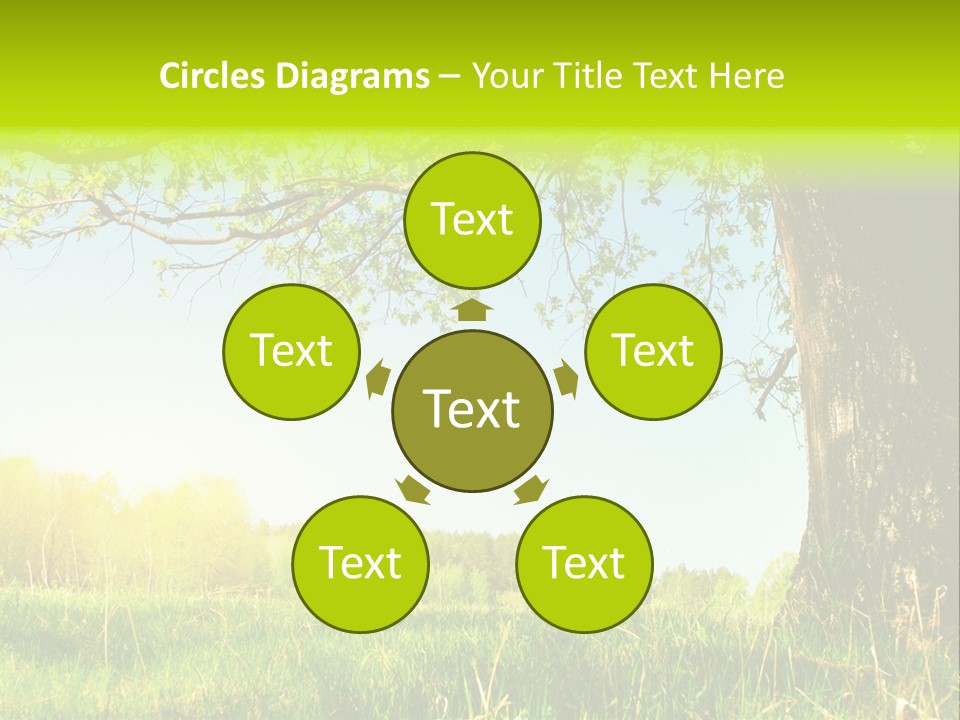 Tree Tall Leaf PowerPoint Template