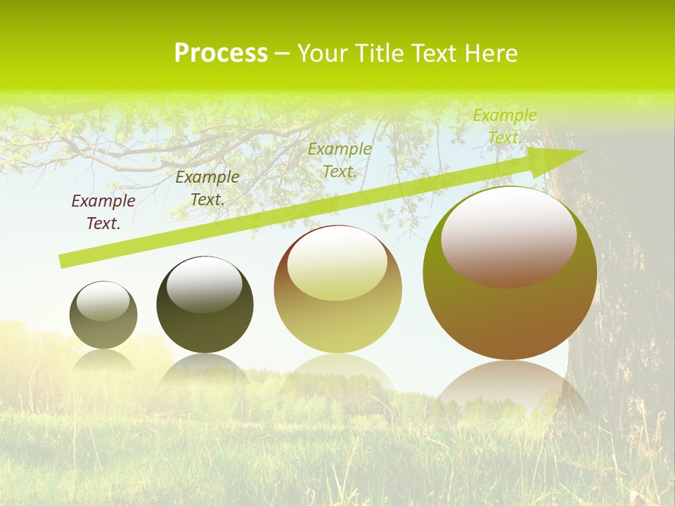 Tree Tall Leaf PowerPoint Template