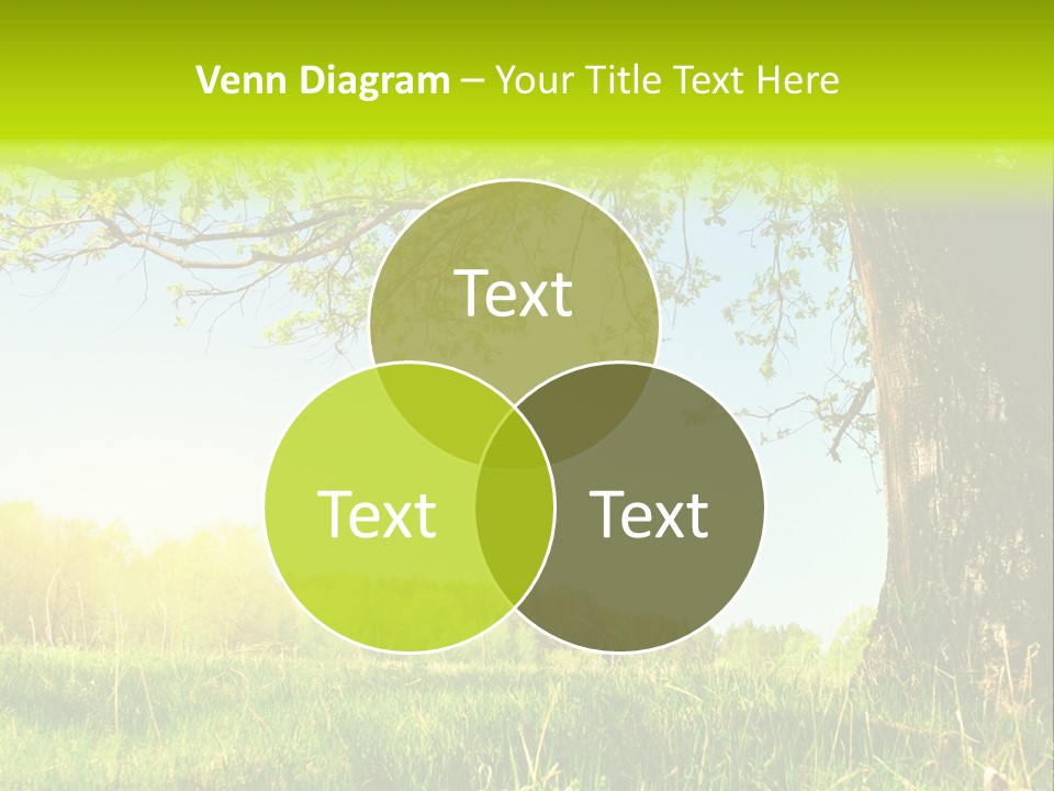 Tree Tall Leaf PowerPoint Template