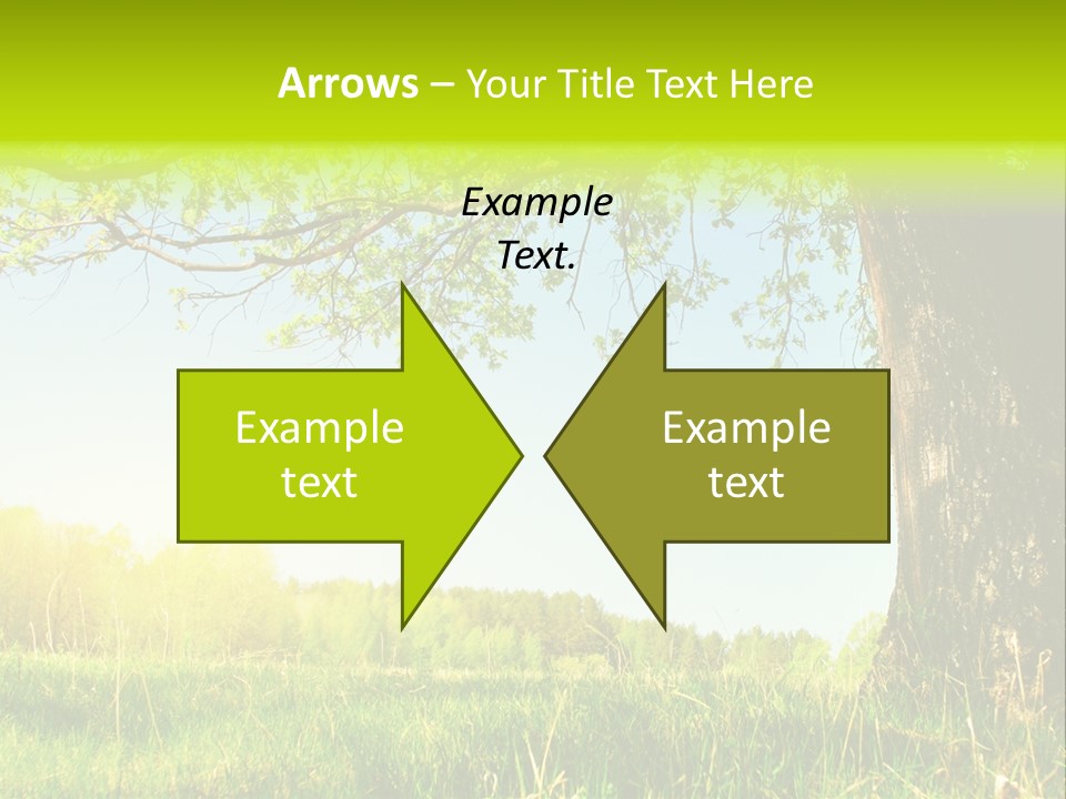 Tree Tall Leaf PowerPoint Template