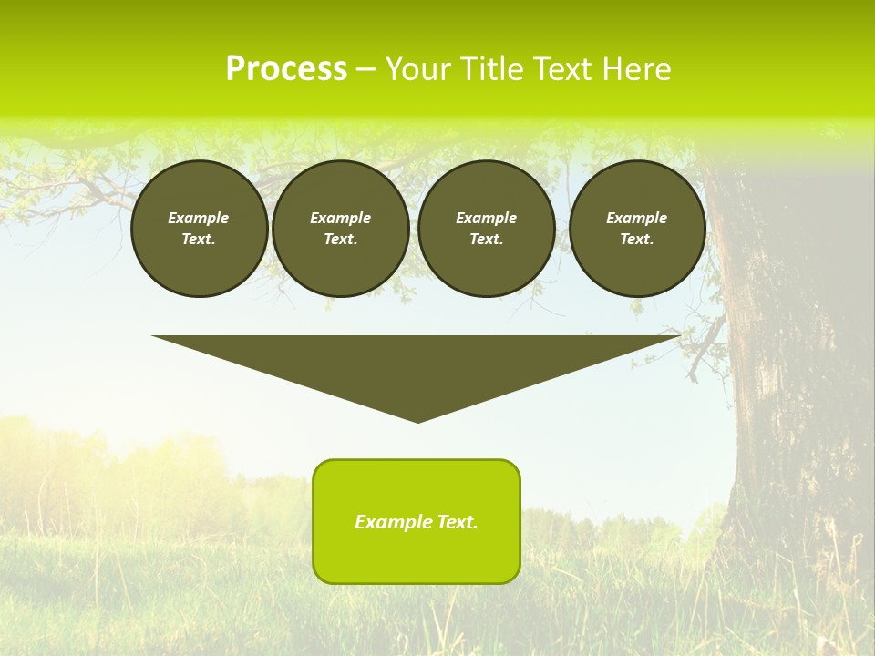 Tree Tall Leaf PowerPoint Template