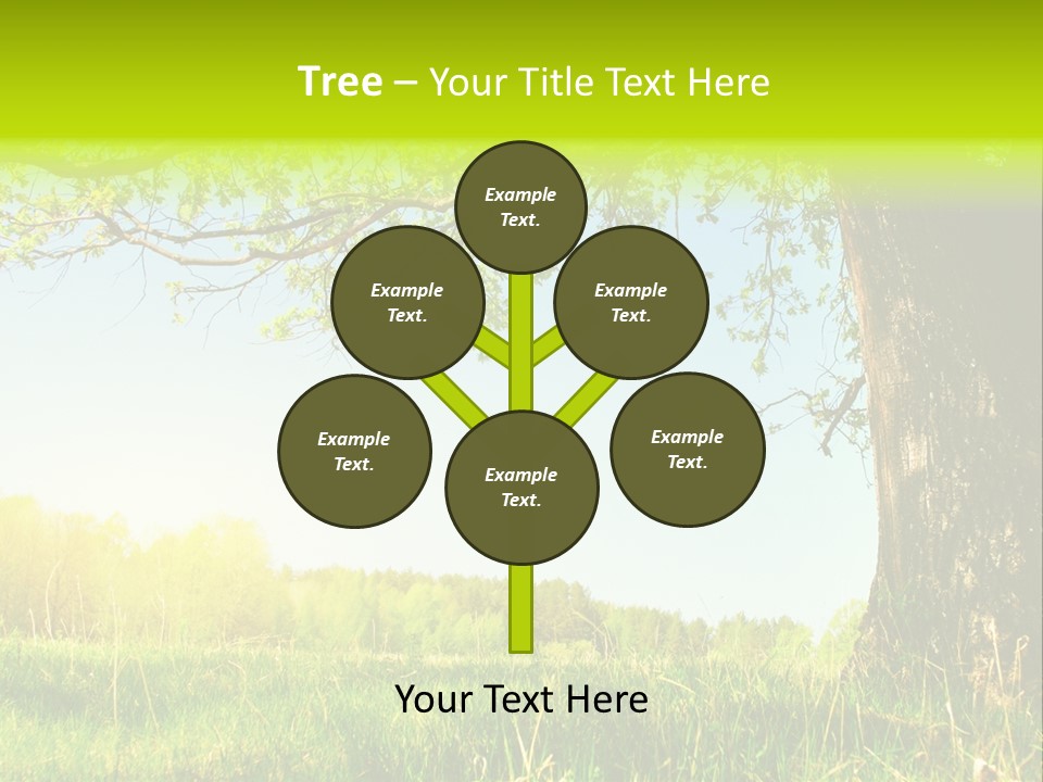 Tree Tall Leaf PowerPoint Template