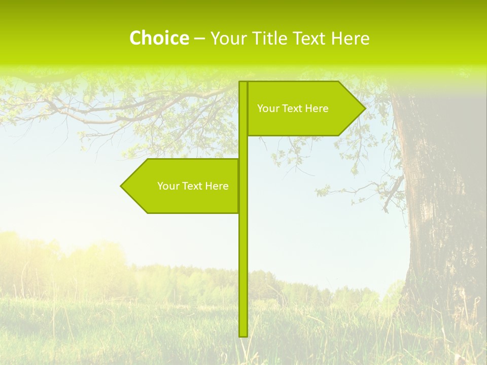 Tree Tall Leaf PowerPoint Template