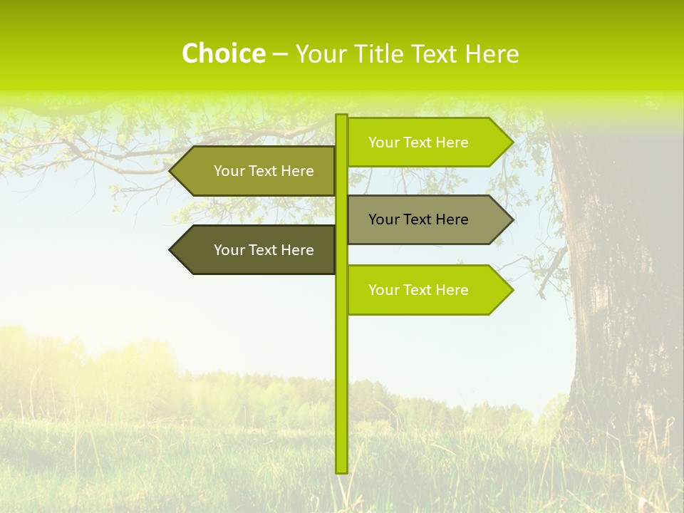 Tree Tall Leaf PowerPoint Template